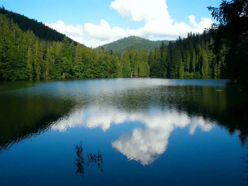 Карпаты Буковель